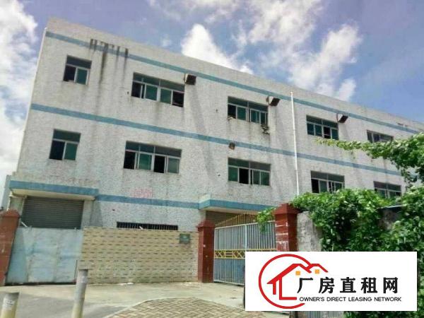 
深圳龙岗坪山新出独院2200平米带电梯厂房出租