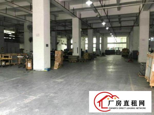 
坑梓新出7米一楼2100平方标准厂房出租