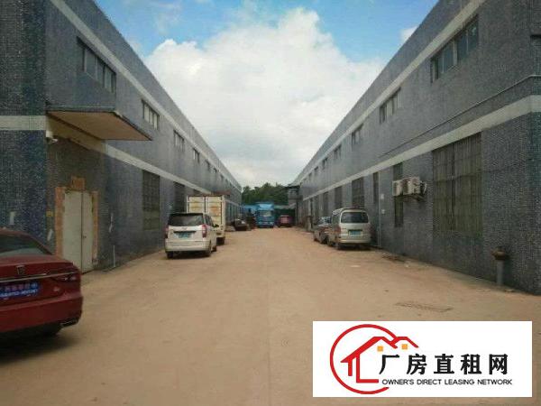 
坑梓新出独栋钢构厂房4700平米平价出租