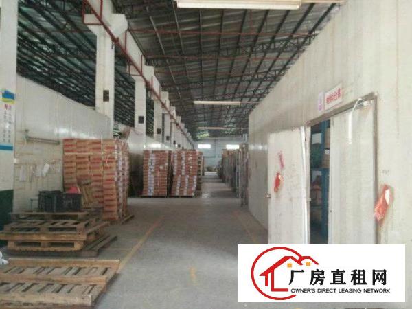 
坑梓新出独栋钢构厂房4700平米平价出租