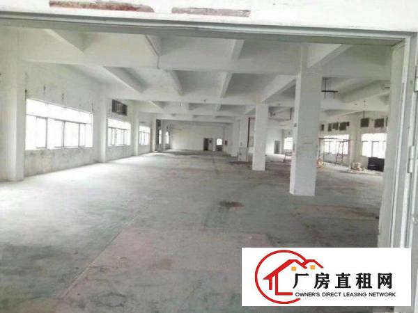 
新坪山碧岭带精装修原房东无公摊低价出租k