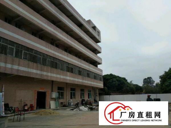 
坑梓龙湾路独门独院厂房急出租