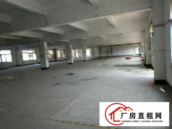 
坑梓龙湾路独门独院厂房急出租