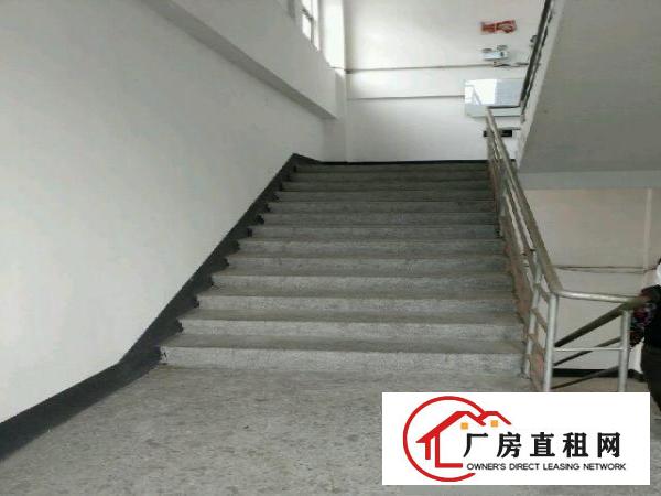 
坑梓龙湾路独门独院厂房急出租
