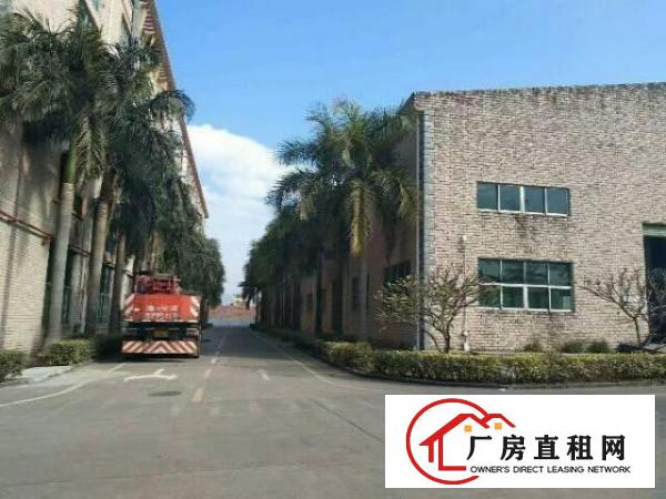 
坑梓独院钢构3500平滴水10米带行车空地大可分