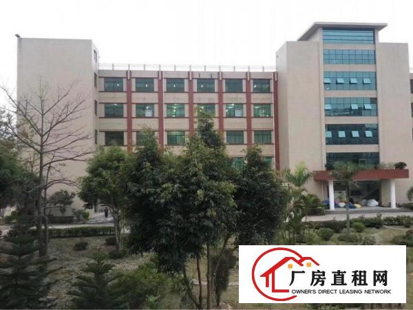 
坑梓新出绝世独院3000平火爆招租可分租