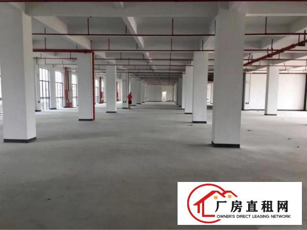 
坑梓新出绝世独院3000平火爆招租可分租