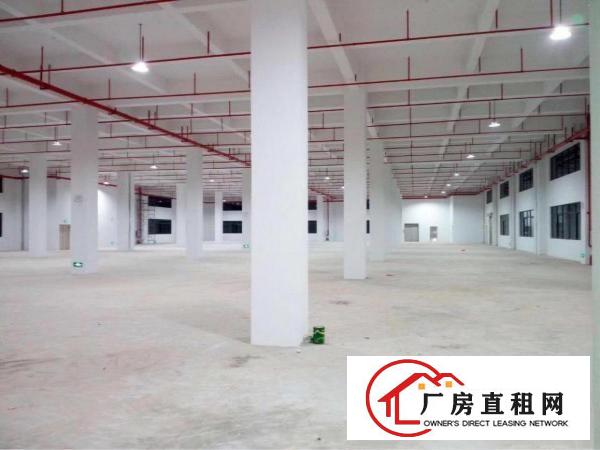 
坑梓工业区二楼空出2000平米带装修厂房