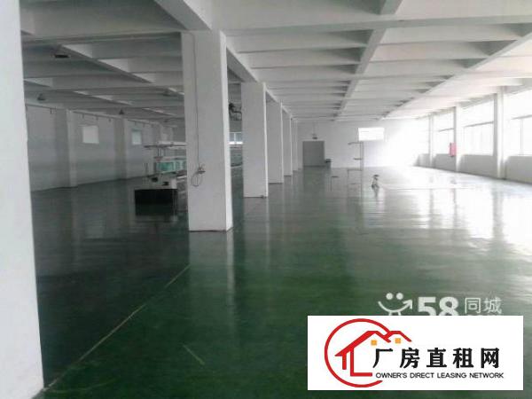 
坑梓深汕路边7800平标准房带电梯 水电装修