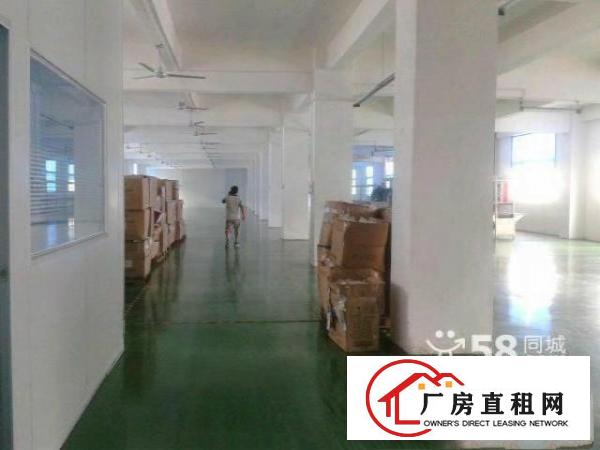 
新坪山新区2000平米带精装修厂房可分租