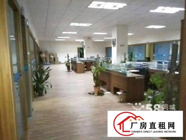 
新坪山新区2000平米带精装修厂房可分租