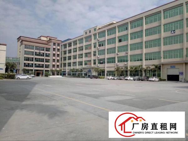 
坑梓新出精装修独门独院厂房2400平米