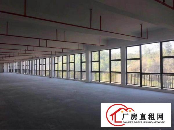 
坑梓新出独门独院厂房3200平主道边