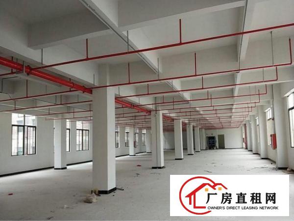 
坑梓新出独门独院厂房3200平主道边