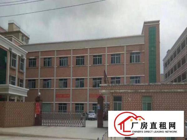
坑梓金沙工业区原房东1000平带电梯