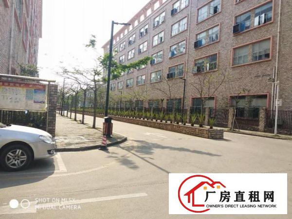 
坪山坑梓新出原房东带红本3500平带牛角滴水7米高端标准厂房