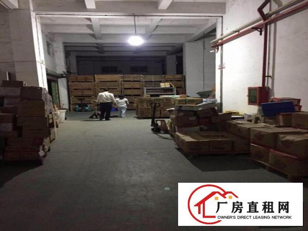 
原房东坪山新出冷库5000平可分租