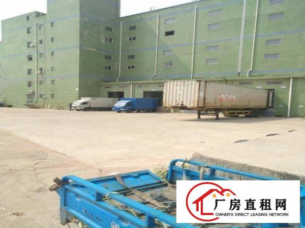 
原房东坪山新出冷库5000平可分租