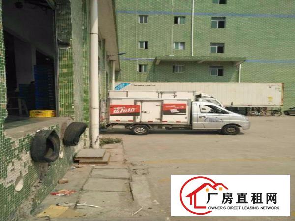 
原房东坪山新出冷库5000平可分租