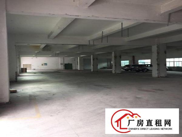 
坪山坑梓新出厂房