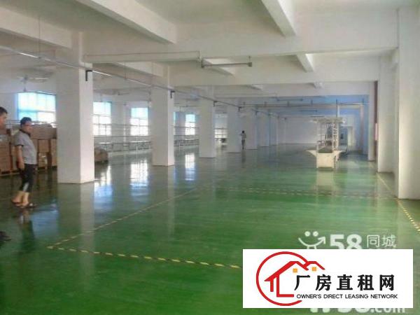 
坪山新区坑梓成校附近4700平独院厂房出租