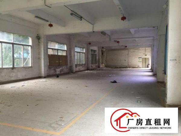 
坑梓坑梓厂房2400平米可围独院