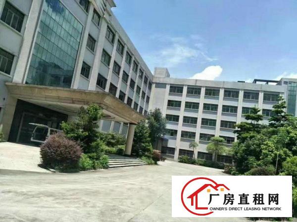 
坪山高新科技园出租，面积50000平米