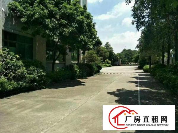 
坪山高新科技园出租，面积50000平米