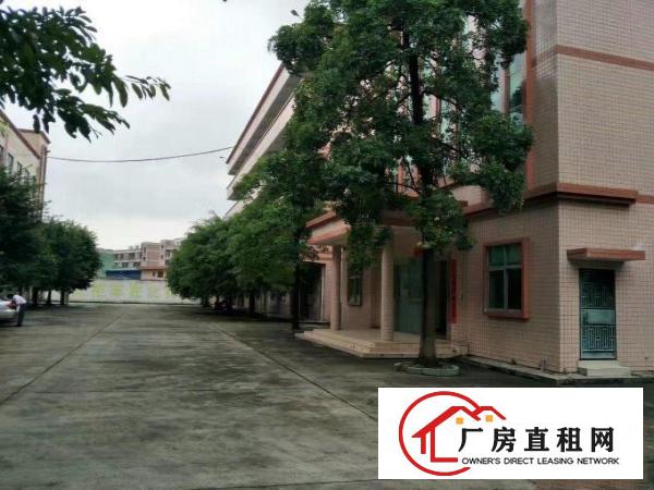 
深汕路边标准厂房出租,面积1600平米