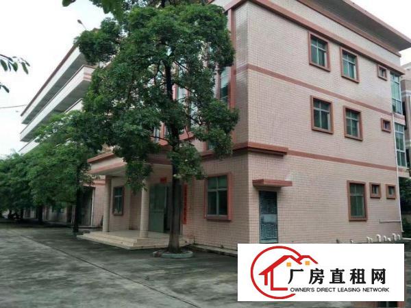 
深汕路边标准厂房出租,面积1600平米