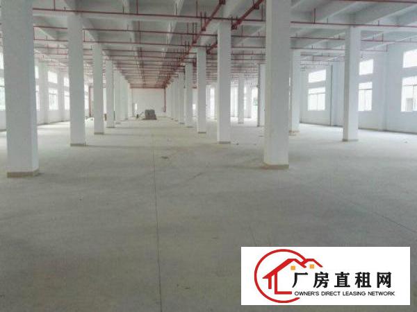 
坑梓精装修厂房招租500至3000平米