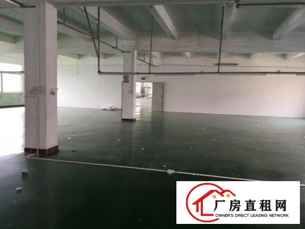 
坑梓坑梓金沙厂房1800平米带地坪漆电梯