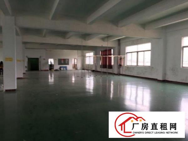 
坑梓坑梓金沙厂房1800平米带地坪漆电梯