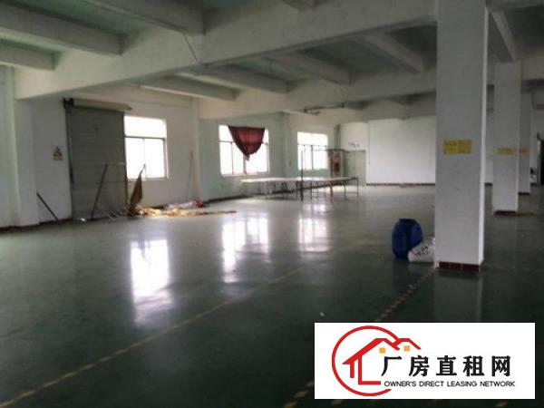 
坑梓坑梓金沙厂房1800平米带地坪漆电梯
