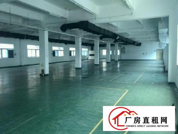 
坑梓人民路楼上厂房1200平米现成水电办公室