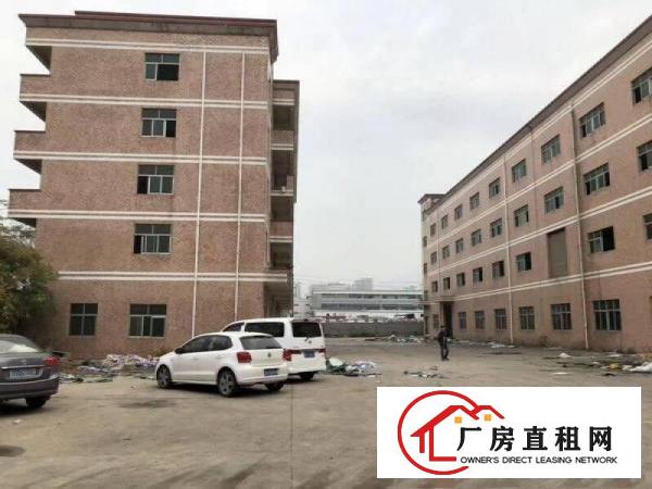 
坑梓大型科技园2000平方带空中私家花园招租