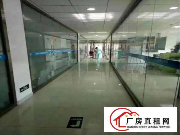
坑梓大型科技园2000平方带空中私家花园招租