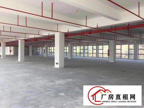 
秀新新出一楼2200平米厂房