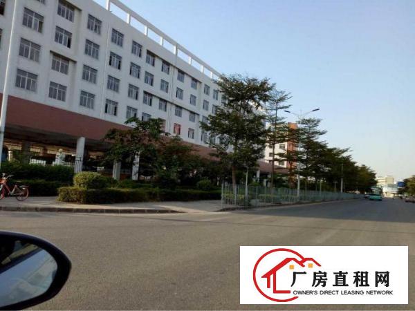 
坑梓一楼标准厂房900平米
