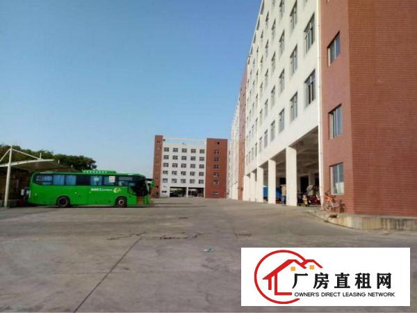 
坑梓一楼标准厂房900平米