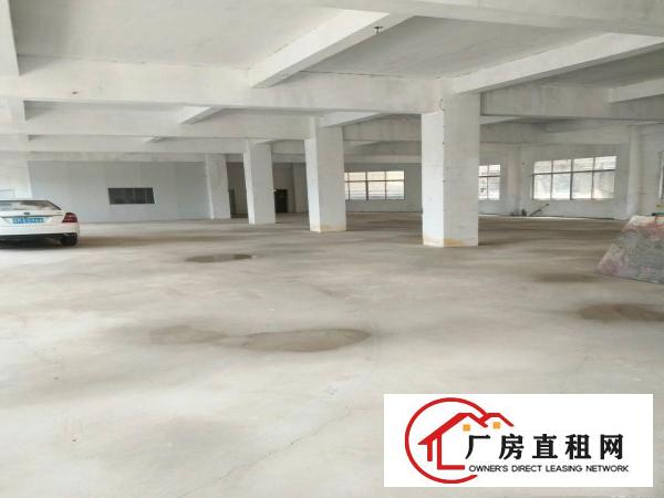 
观澜樟坑径新樟路一号独院3000平方