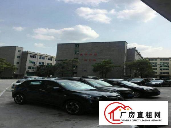 
观澜泗黎路边原房东一二楼各2000平带装修厂房出租