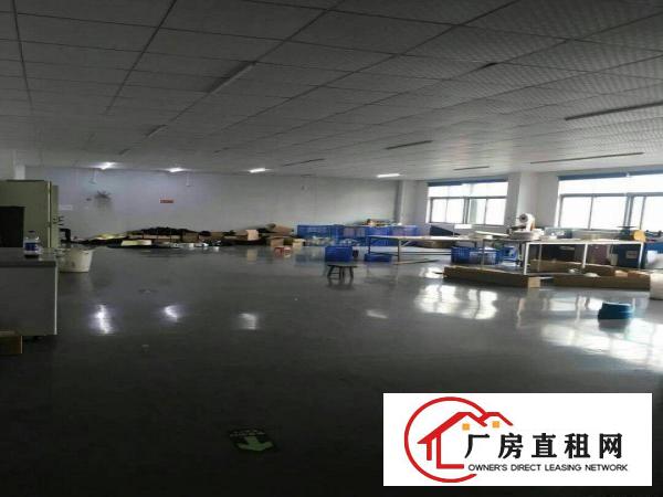 
观澜泗黎路边原房东一二楼各2000平带装修厂房出租