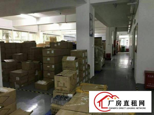 
观澜泗黎路边原房东一二楼各2000平带装修厂房出租