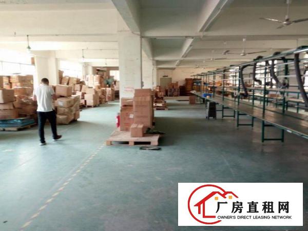 
观兰观光路梅观高速出口4楼900平米带装修厂房出租