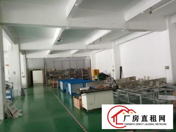 
梅观高速1000平2000平带豪华装修办