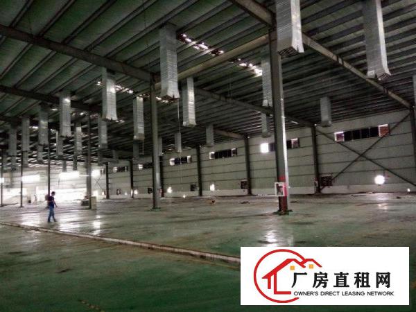 
观光路8米高单一层厂房8000平可分租