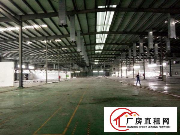 
观光路8米高单一层厂房8000平可分租