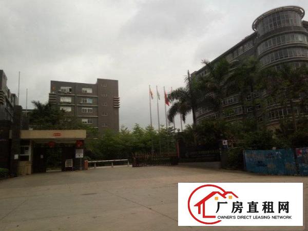 
花园式科技园原房东3000平方