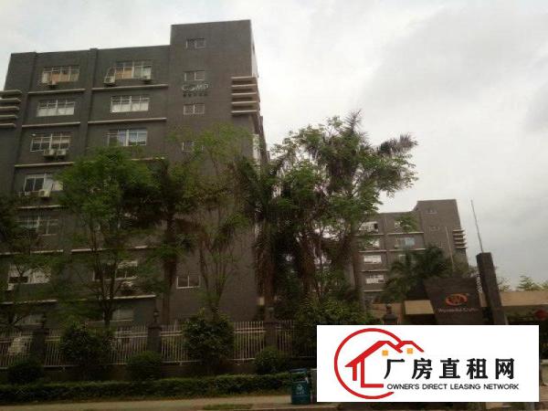 
花园式科技园原房东3000平方